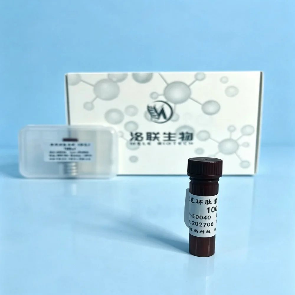 488 Phalloidin 鬼笔环肽染料（绿色）